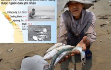 Bộ và các tỉnh họp về vụ cá chết: lòng vòng không rõ nguyên nhân
