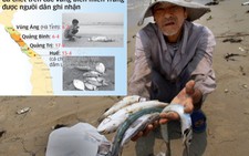 Thủ tướng chỉ đạo khẩn trương làm rõ nguyên nhân cá chết bất thường