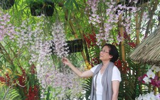 Hoàng thành Huế triển lãm gốm, hoa lan, cây cảnh, thư pháp