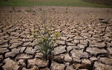 ​El Nino có thể chấm dứt vào cuối tháng 6