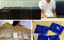 Giấu nửa ký ma túy trong loa vận chuyển đường hàng không