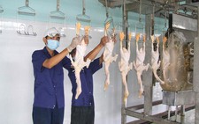 ​TP.HCM: Quy hoạch khu giết mổ tập trung