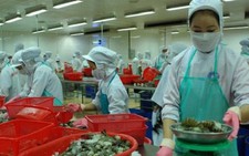 ​Giá tôm sú Việt Nam cạnh tranh trên thị trường Mỹ