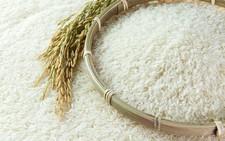 ​Quản lý và phát triển thương hiệu gạo Việt Nam