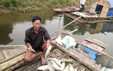 Sẽ đền bù hơn 1,4 tỉ đồng vụ cá lồng chết