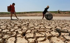 ​Ninh Thuận: Hạn hán ngày càng khắc nghiệt