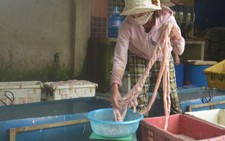 Xem xét hình sự vụ dùng hóa chất chế biến mỡ bẩn