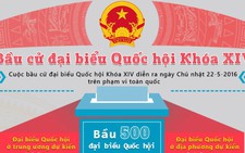 Không để các thế lực thù địch phá hoại bầu cử