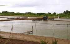 ​Cà Mau công bố thiên tai cấp độ 2 với nuôi trồng thủy sản