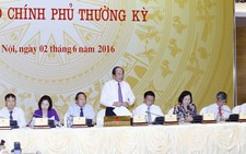 Đã tìm ra nguyên nhân cá chết nhưng chưa công bố vì đang phản biện