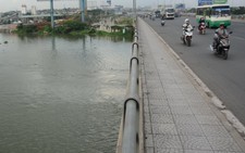 Thuê taxi đến cầu Đồng Nai rồi... nhảy xuống sông