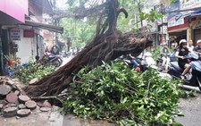 Cảnh báo mưa dông, lốc xoáy ở khu vực phía Bắc
