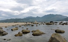 Khám phá rạn Nam Ô hoang sơ