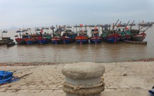 Thợ cào ngao ngã xuống biển Thanh Hóa tử vong