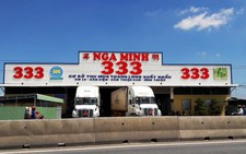 Thương lái Trung Quốc thao túng thanh long Bình Thuận
