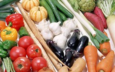 ​Nguồn dinh dưỡng cho đôi mắt sáng khỏe