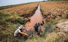 ​EU viện trợ 2 triệu euro cho người dân vùng hạn mặn