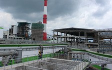 ​Trước sau gì cũng mang họa