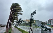 ​Đà Nẵng tăng cường khả năng chống chịu biến đổi khí hậu
