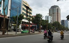Hà Nội trồng nhiều phượng: Công ty cây xanh nói 