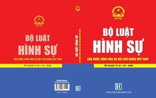 Tạm dừng ban hành 7 nghị định liên quan Bộ Luật Hình sự