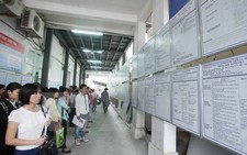 ​Mức thu phí dịch vụ việc làm