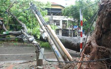 Tổng công ty Điện lực TP Hà Nội nỗ lực khôi phục lưới điện sau bão