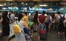 Bị tin tặc tấn công, gọi đường dây nóng 0436404423