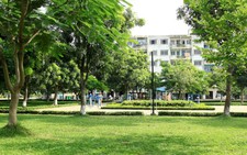 ​Trồng cây đô thị thích ứng biến đổi khí hậu: 3 yếu tố quan trọng
