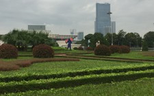 Duy trì cây xanh tuyến vành đai 3 Hà Nội, 5km giá 27 tỉ đồng