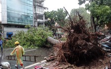 Xuất hiện vùng áp thấp nguy hiểm trên Biển Đông