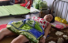 Quảng Nam: Hai người nhập viện do bị rắn lục đuôi đỏ cắn