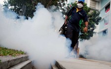 Zika bùng phát ở Singapore