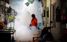 Thái Lan xác nhận có 200 ca nhiễm virus Zika 