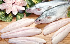 ​Tạm ngừng đăng ký mới xuất khẩu cá tra sang Hoa Kỳ