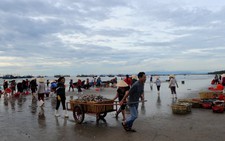 Chúng tôi chỉ cần biển sạch