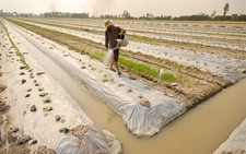 ​Đồng bằng sông Cửu Long trong cơn “đại hạn”: Tìm nguồn nước