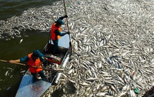 Audio 5-10: ​Không chỉ là chuyện cá chết