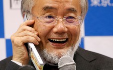 Chủ nhân Nobel Y học 2016 không 