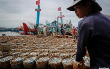 Biển xanh, cá sạch - 