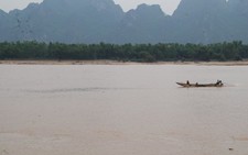 Trồng tre chắn lũ giữ làng