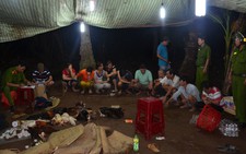 Phá trường gà quy mô lớn tại Bến Tre