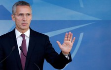 NATO điều 
