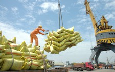 ​Xuất khẩu gạo Việt Nam tăng trưởng ở một số thị trường lớn