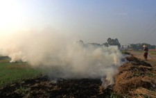 ​Hạn chế đốt rơm rạ để giảm thiểu ô nhiễm