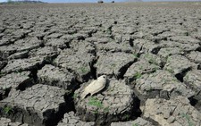 Tóm lại, El Nino là gì?