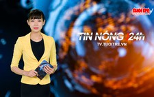 Tin nóng 24h: Siêu âm tìm cách cho voi nhà sinh sản