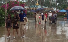 Phú Quốc đã có mưa vàng