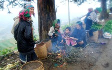 Miền Bắc ngày nắng hanh, đêm rét buốt