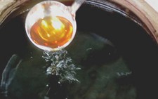 Thu thẻ nhà báo Phó tổng biên tập báo Thanh niên